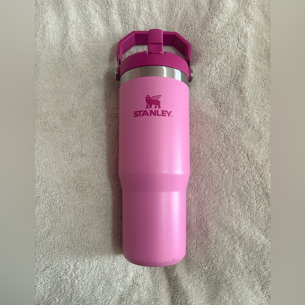 30oz Stanley Tumbler